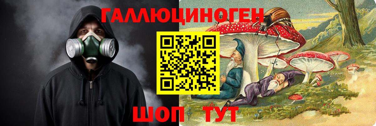 Галлюциногенные грибы Черкесск